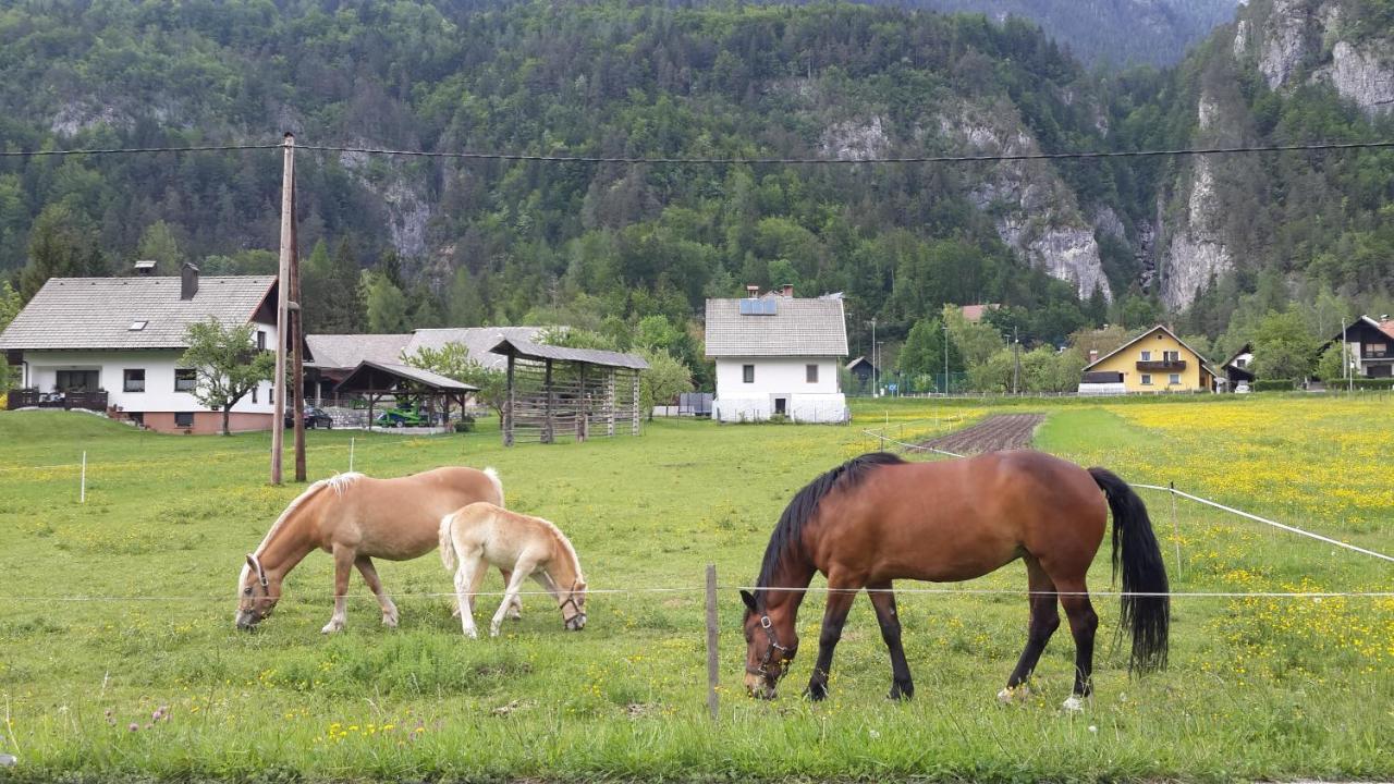 The Oldmillhouse Villa Mojstrana Eksteriør bilde