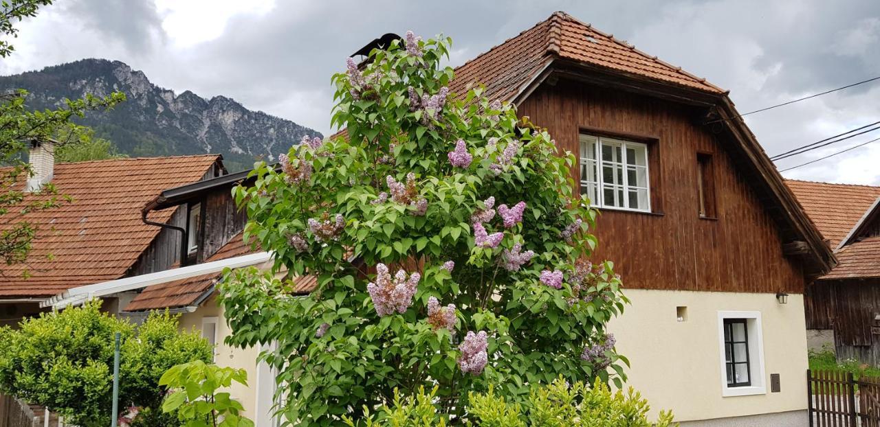 The Oldmillhouse Villa Mojstrana Eksteriør bilde
